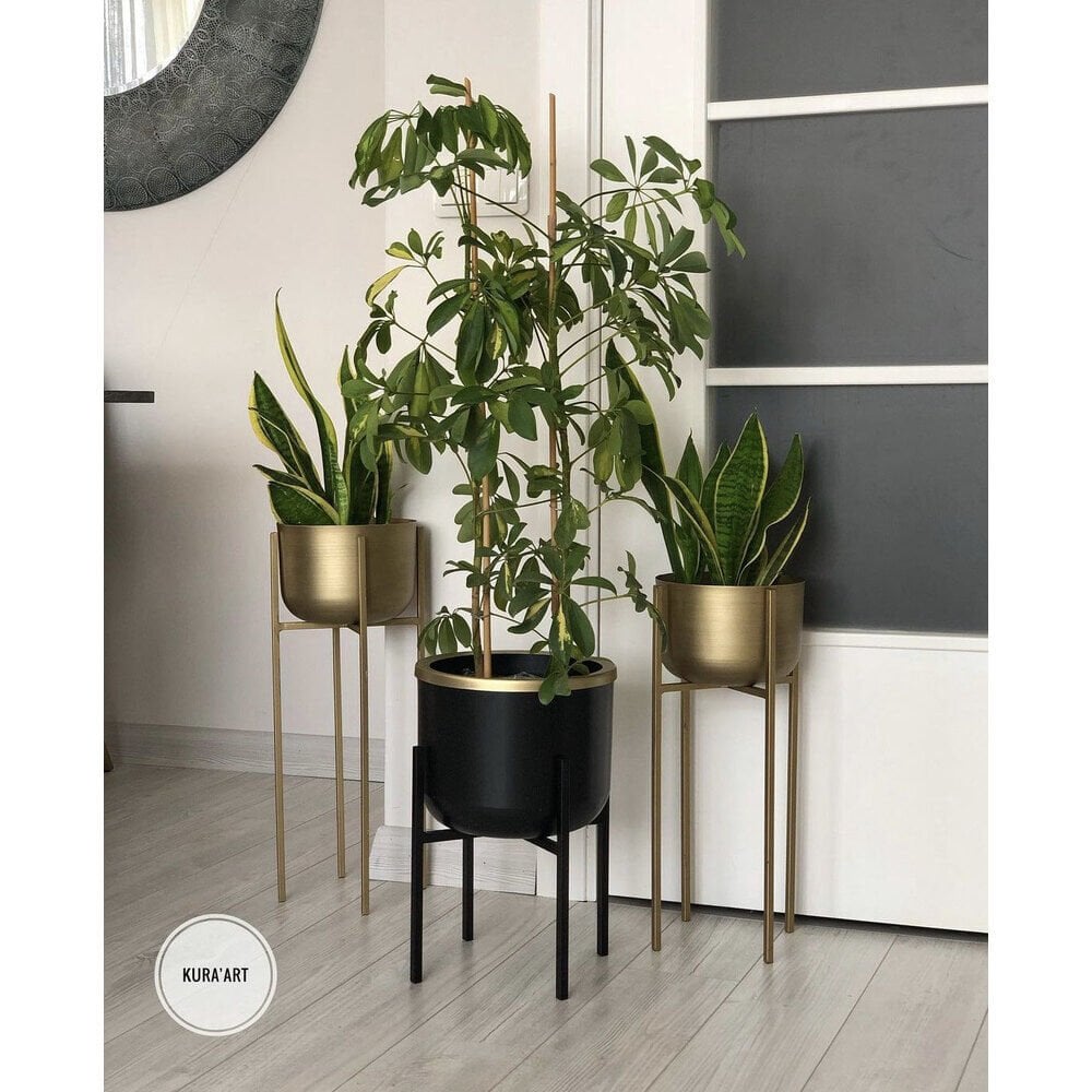 Büyük & Küçük Dekor Saksı Set