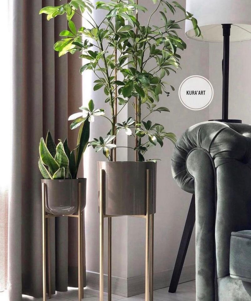 Dekor&Delüxe Saksı