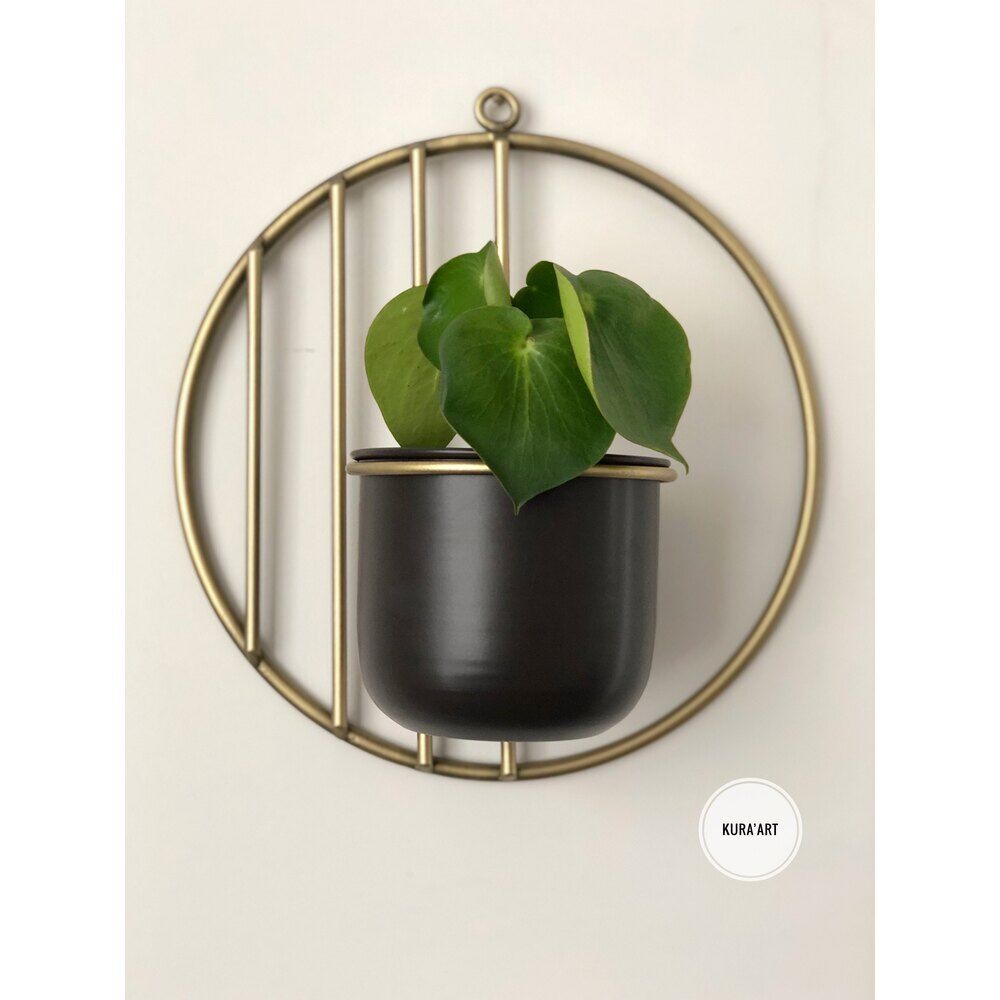 Mercür Duvar Saksısı